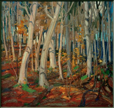 Maple Woods, Bare Trunks, 1916 by Tom Thomson